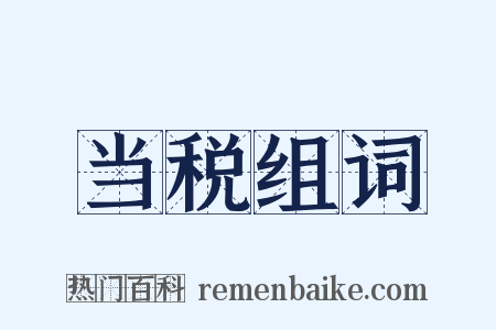 当税组词是什么意思的图片